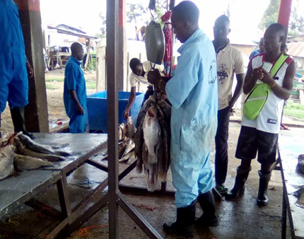 Trainees visiting landing bay Trainees visiting landing bay